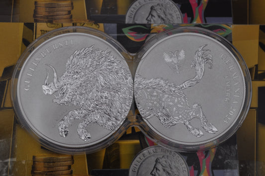2025 Germania Beasts: Gullinbursti – 2 x 1oz Silver Bullion Coin Set | .9999 Fine Silver | In Infinity Capsule | Germania Mint
